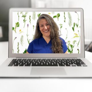 Manage your time with a virtual wellness visit! 👩‍💻⁠
We provide these convenient Telemedicine appointments so you can easily slip them between meetings, school pick-ups, and essential me-time, without the hassle of driving to and from our office.⁠
⁠
✨LINK IN BIO✨ 15% Off Telemedicine Visits⁠
*Snag this discount, this month only, then use it for your next Telemedicine appointment*⁠
⁠
Your time is valuable, and we completely understand just how taxing your day-to-day can be on you energetically, mentally, and emotionally. So let us help take a load off! Phone consultations are another convenient option if you prefer an even more low-key check-up. ⁠
⁠
📅Need help getting scheduled? DM us or give us a call at (480) 526-4147. If we're unavailable, please leave us a voicemail with your contact information so we can call you back.⁠
